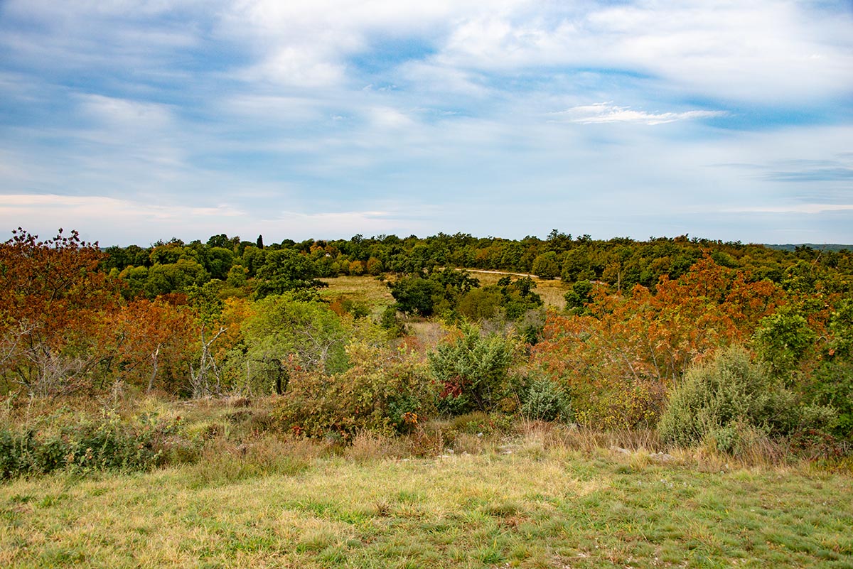 Herbst